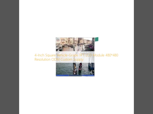 480x480 Resolution Square LCD Display TTL Square LCD Screens 4 Inch