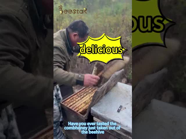 Metal Beehive Lashing Strap 5M Length 2.5cm Width for Bee Frames and Beekeeping Hobbyist