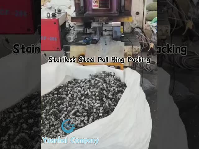 Stainless Steel Metal Pall Rings for Gas Scrubbing and Distillation