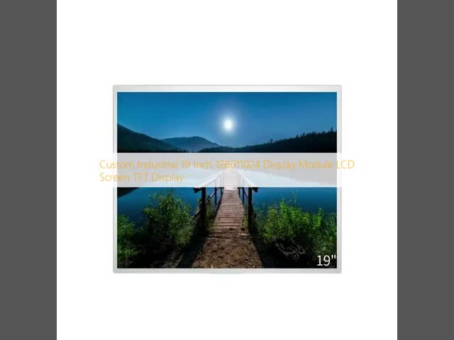19 Inch Custom TFT Displays 1280x1024 Resolution Industrial TFT Display