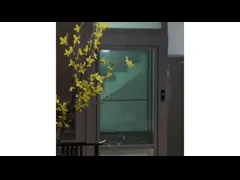 Safe & Quiet Traction Elevator for Villas | Flexible Power Supply