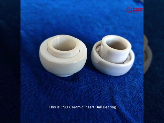 ZrO2 UC205 Ceramic Insert  Ball Bearing PTFE Cage With Adapting Thread In Conveyor Systems