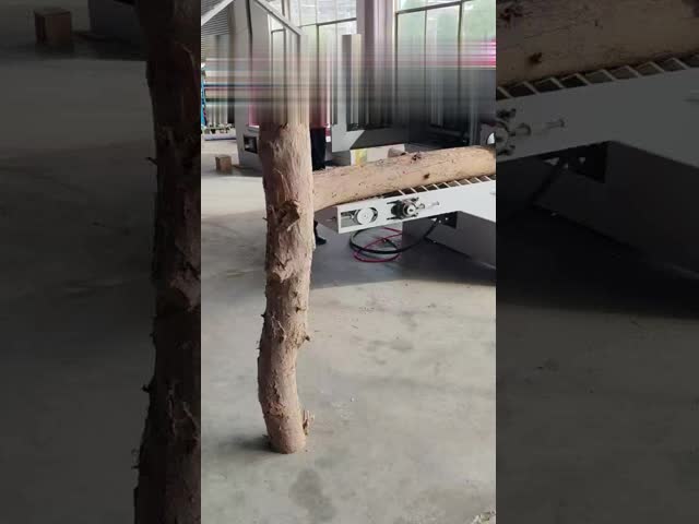 MGJY10-30WS double spindle Multiple rip saw For Processing wood logs