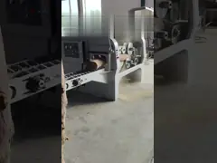 MGJY10-30WS double spindle Multiple rip saw For Processing wood logs