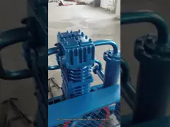 China 2-Nozzle 2-Flow Meter LPG Dispenser for Your Requirements Solenoid Valve AC220V Ex-proof supplier