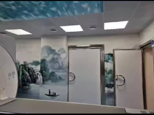 Silver Magnetic Faraday Cage MRI with 10-100MHZ,100db Efficiency and No Assembly Required for Laboratories