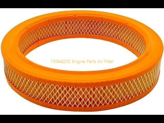 115946205 Engine Parts Air Filter