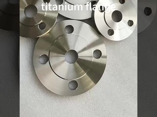 Factory ASME Carbon Slip-On Titanium Flange for Petroleum Flange
