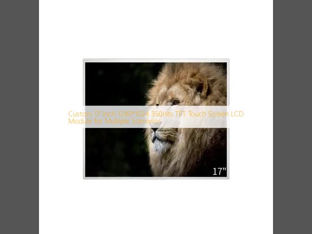 1920x1080 Resolution Full HD LCD Display 12.8 Inch Touch Screen LCD Display Module Medical