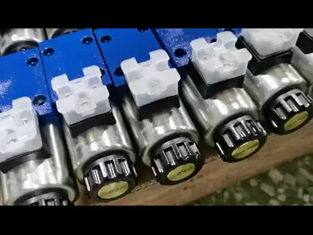 4we 6/DBDS/4WRE/2FM Rexroth Hydraulic Valve Directional Control For Industrial