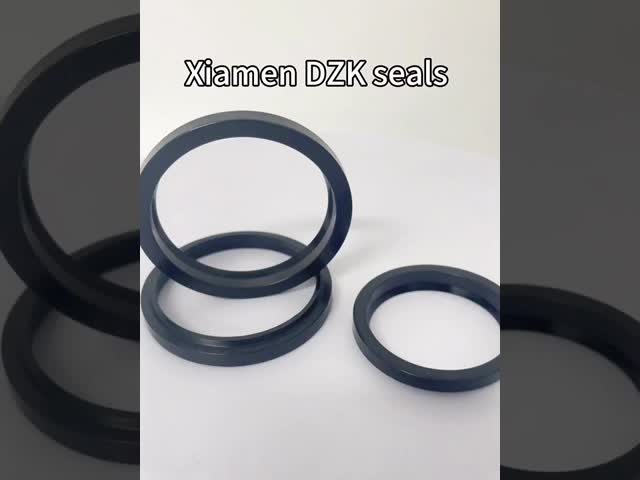 WP6/P6/A8/38/GHM Hydraulic Dust Seal Made Of NBR Rubber For Hydraulic Cylinders