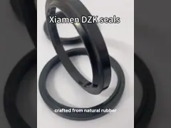 WP6/P6/A8/38/GHM Hydraulic Dust Seal Made Of NBR Rubber For Hydraulic Cylinders