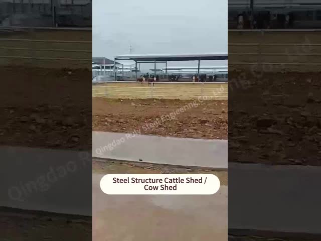 Modern Light Steel Frame Cattle Shed with Galvanized Steel Structure