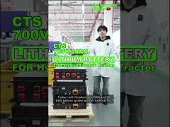 Custom 400V 500V 614V 100Ah LiFePO4 Battery Pack for Agricultural Machinery