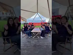 China 17801-0L040 178010L040 Auto Engine Air Filter  For Toyota Hilux 2005 supplier