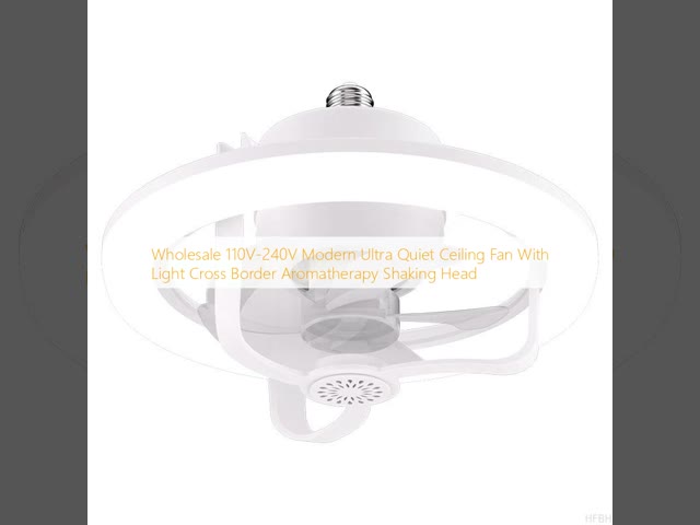 Wholesale   110V-240V Modern Ultra Quiet Ceiling Fan With Light Cross Border Aromatherapy Shaking Head
