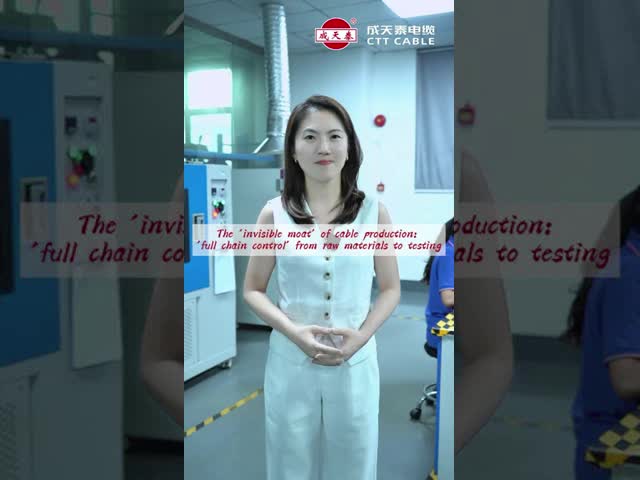 Pure Copper ≥ 99.9% Flame Retardant Cable CU/PVC/DCST/PVC 0.6/1kV 3x185+2x95 for and Long-Lasting Performance