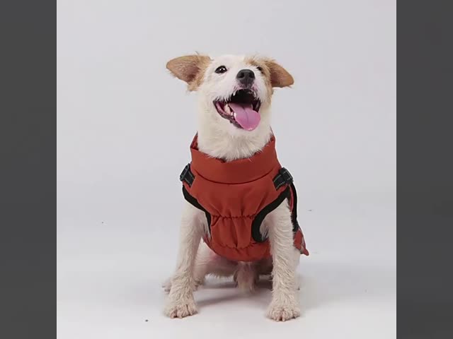 Winter Cotton Padded Waterproof Pet Jacket Outdoor Thickened Pet Clothing With Traction