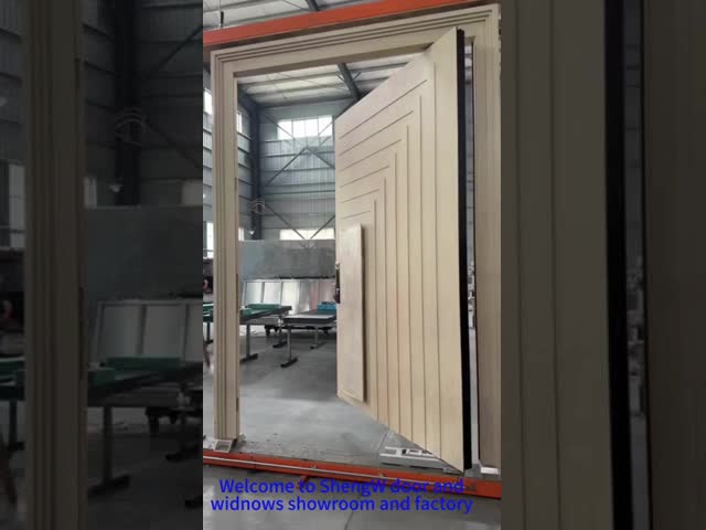 Powder Coated With Aesthetics Solid Aluminum Exterior Doors For Main Entrance