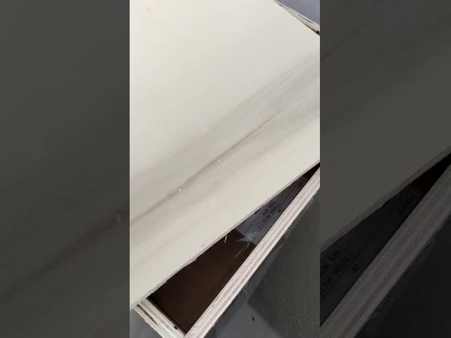 PTFE Coated A193 B7 Stud Bolt with 2 Heavy Hex Nuts 1/4