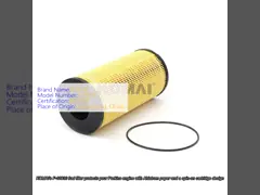 China High Flow Cummins Fuel Filter, Hitachi Car Diesel Filter 4679981 F-9981 supplier