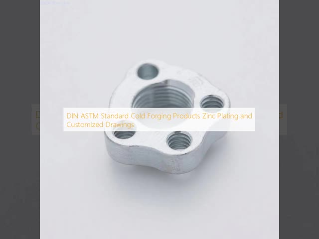 DIN ASTM Standard Cold Forging Products Zinc Plating and Customized Drawings