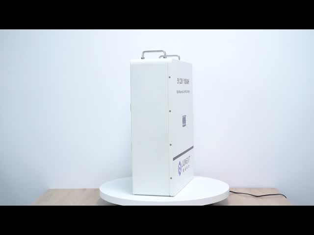 100A Standard Charging Current LiFePO4 Electric Bicycle Battery Pack for Optimal and Long-Lasting Power