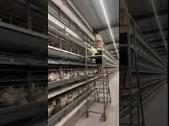 China 36000m3/H 1250mm Poultry Environmental Control System Chicken House Butterfly Cone Fan supplier