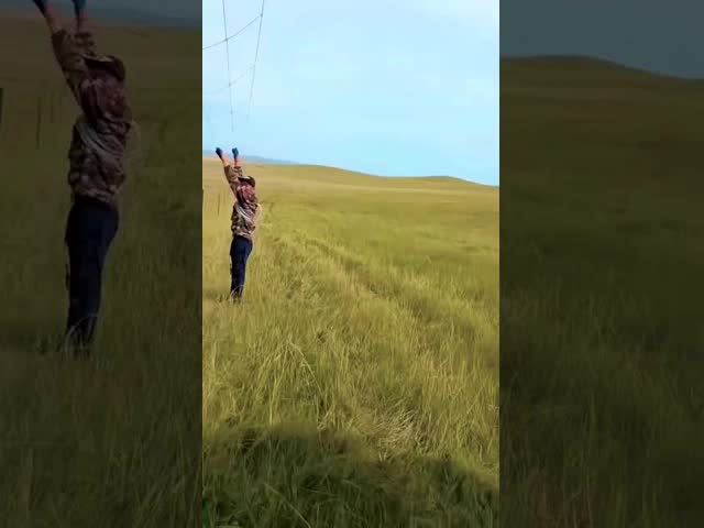 Galvanized Steel Cattle Fence Netting High Tensile Wire Weatherproof Security