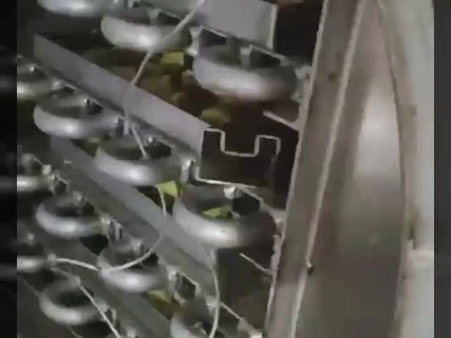 ‌Portable Freeze Dryer for Small Businesses - Easy to Use & Clean Baosi Pump Stainless steel