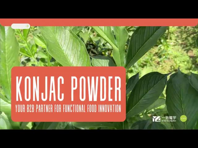 Power Your Business with YIZHI Konjac Powder​