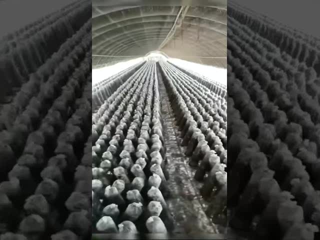 Trusted and Audited Supplier — Find the Right Sun Shade Net Manufacturers in China。Quality Sun Shade Net 100% New HDPE Agricultural Windbreak Black Sun Shade Nets
