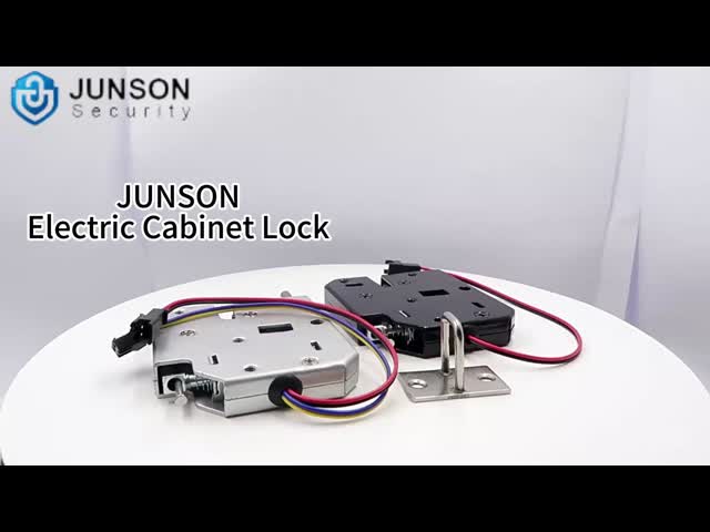 Smart Electronic Cabinet Lock for Access Control System with Door Sensor, NO/COM Output