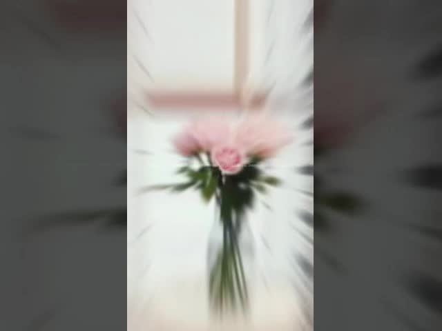 Hollowed White Cotton Lace Embroidery Muslin Curtains Blackout Window Hotels Hospitals