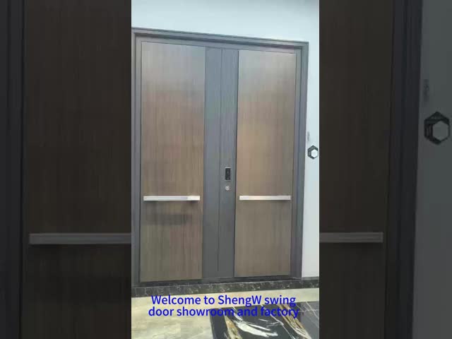 Anti Theft Powder Coated Finish With Modern Aluminum Entrance Doors