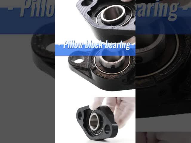 NTN Flange Pillow Block Bearing UCFL UCFL205 with Cast Iron Material ISO