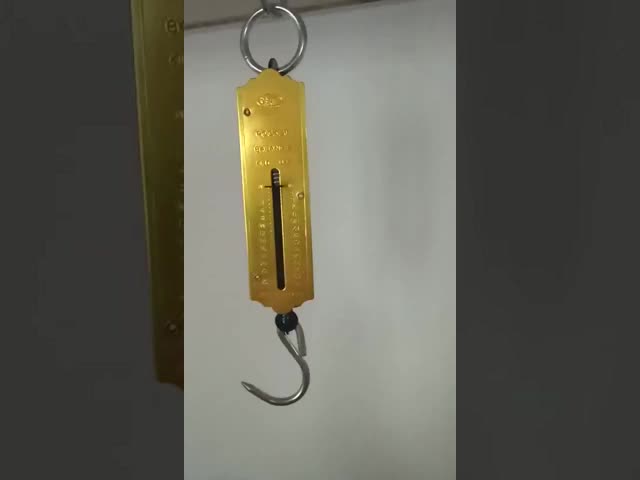 Golden Capacity 12kg-100kg Portable Balance Hanging Hook Scale High Accuracy Digital Hanging Weighing for Your Requirements