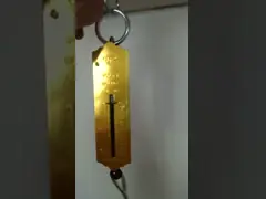 Golden Capacity 12kg-100kg Portable Balance Hanging Hook Scale High Accuracy Digital Hanging Weighing for Your Requirements