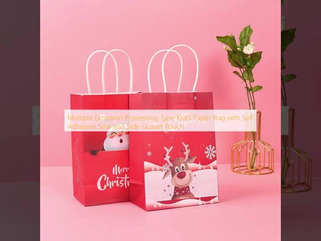 Multiple Extrusion Processing Type Kraft Paper Bag with Self Adhesive Seal and Side Gusset Pouch