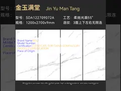 China Matt / Polish / Structured Porcelain Tile That Looks Like Wood 600X1200 supplier