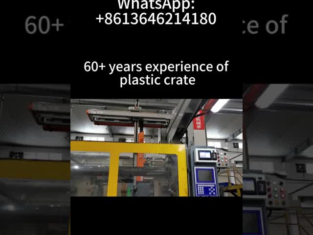 Collapsible Stackable Plastic Crate for Easy Transportation of Agricultural Goods