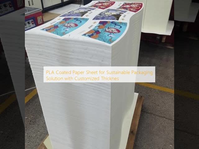 PLA Coated Paper Sheet for Sustainable Packaging Solution with Customized Thicknes