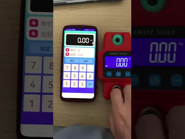 Lock Function 300kg Hot USB Charging Smart WH-C06 Digital Electronic Hanging Crane Scale with USB Rechargeable Batteries