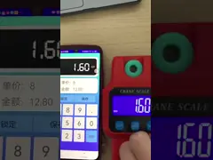 Lock Function 300kg Hot USB Charging Smart WH-C06 Digital Electronic Hanging Crane Scale with USB Rechargeable Batteries
