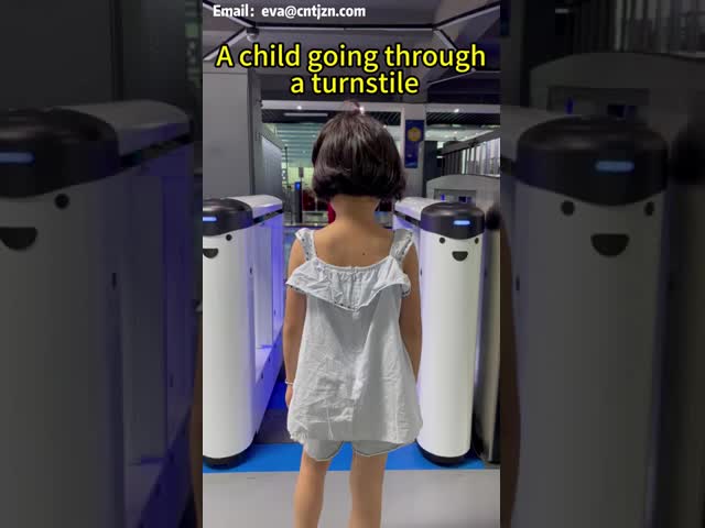 From Terminal to Classroom: Adapting Pedestrian Turnstiles for Diverse Security Demands