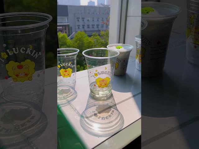 Multi-size PET Cups Wholesale 16oz Transparent Milk Tea & Coffee Cold Drink to Go Plastic Cups