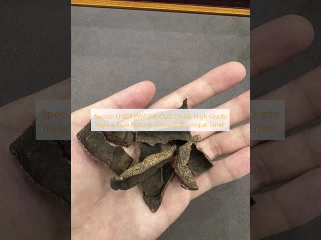 Under Water Oud Chunks From Pure Oud China Strong Sweet Smell