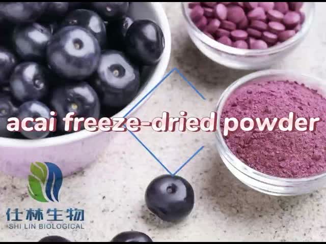 Acai berry powder  Freeze-Dried Acai Berry Powder