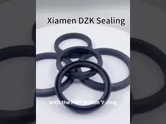 China Mini Rotating Cylinder Piston APP Seal Ring APP/Y-seal Ring PPY Cylinder Gasket supplier