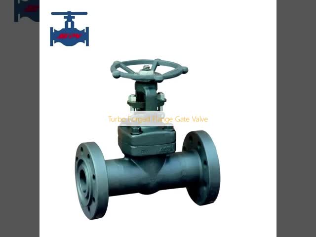 Turbo Forged Flange Gate Valve with ISO9001 ISO14001 Certification and A216-WCB Cast Steel Construction